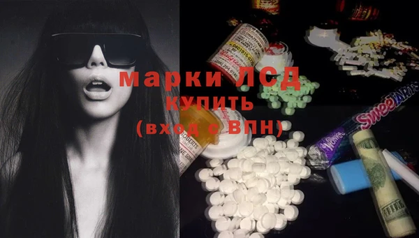 индика Володарск