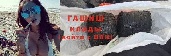 индика Володарск