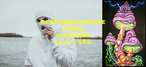 индика Володарск