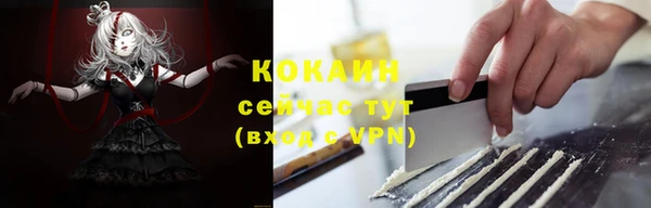 индика Володарск