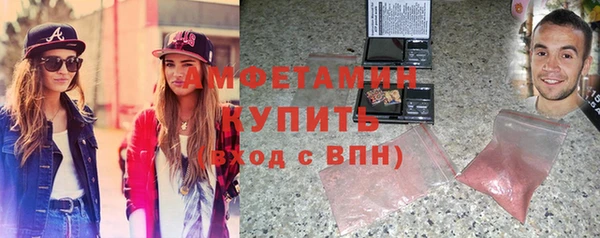 индика Володарск