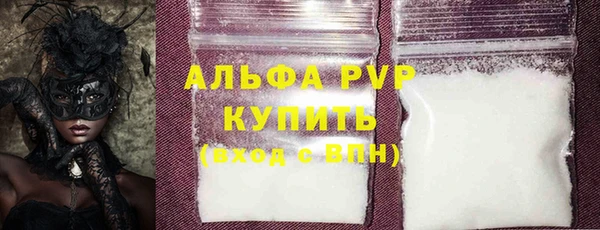 индика Володарск