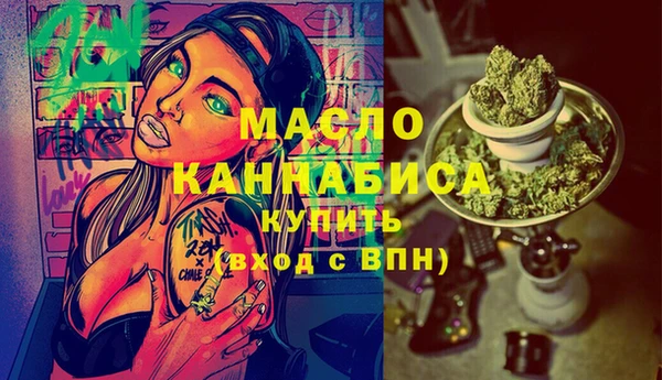 индика Володарск