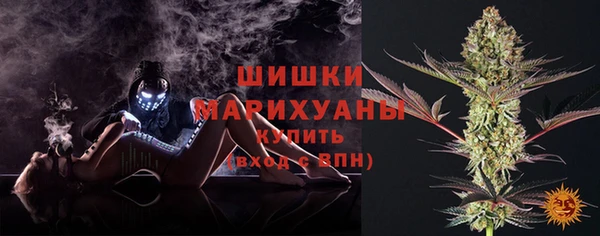 индика Володарск